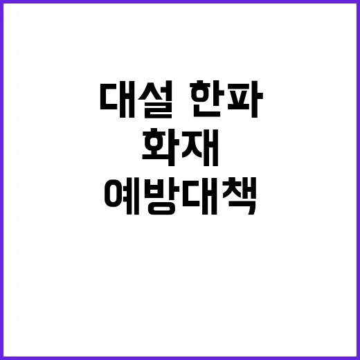 대설·한파 정부의 …