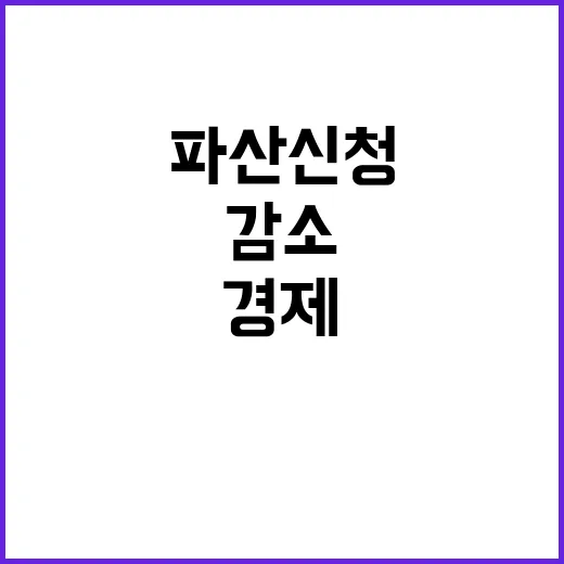 법인 파산 신청 감…