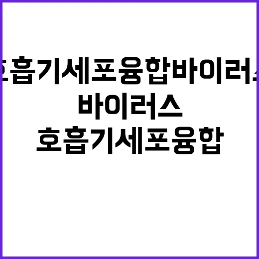 호흡기세포융합바이러스 알고 싶어하는 모든 질문들!