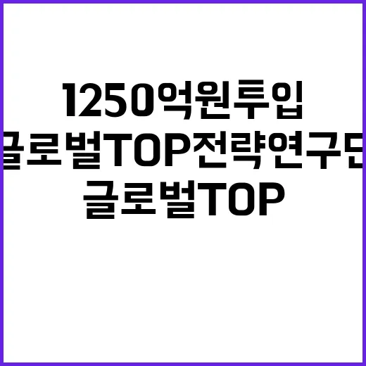 ‘글로벌 TOP 전략연구단’ 지원 연 1250억 원 투입!