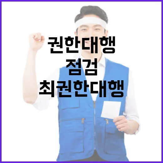 행정명령 점검 최 권한대행의 지침은 무엇?