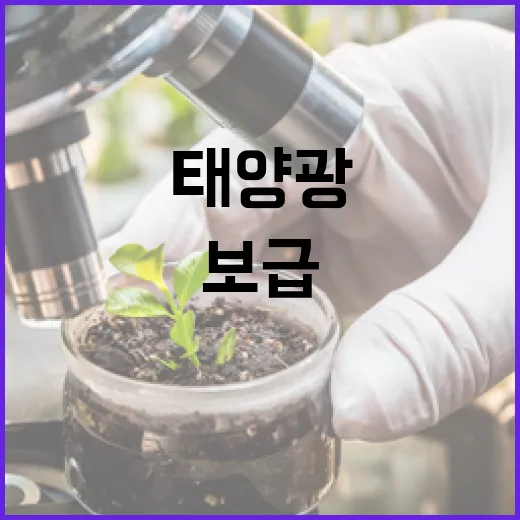 태양광 보급 급증! 2022년 이후 3GW 회복