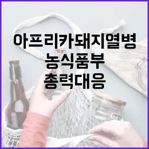 아프리카돼지열병 발생…농식품부 총력 대응 나선다!