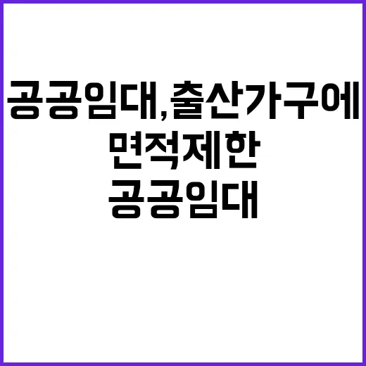 공공임대, 출산가구에 혜택…면적 제한도 사라지다!