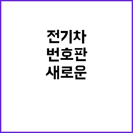 전기차 번호판, 지속 개선으로 새로운 디자인 공개!