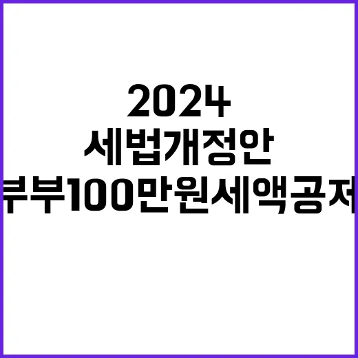 2024 세법 개정안 결혼 부부 100만 원 세액공제!