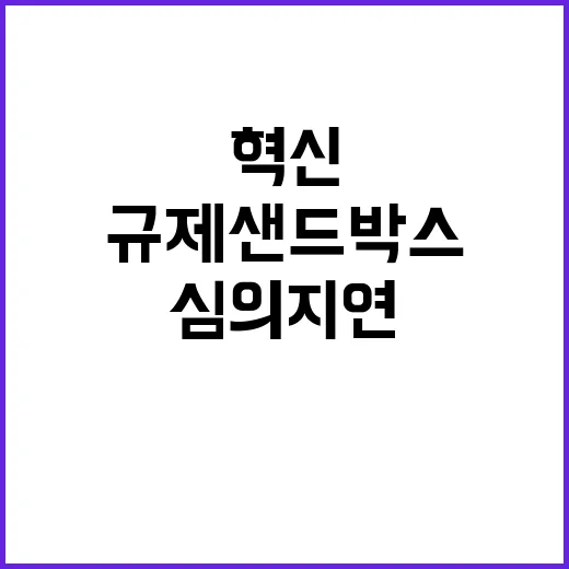 규제샌드박스, 심의…