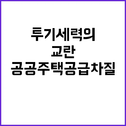 투기세력의 교란, …