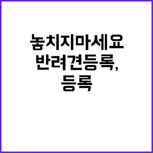 반려견 등록, 과태료 면제 기회 놓치지 마세요!