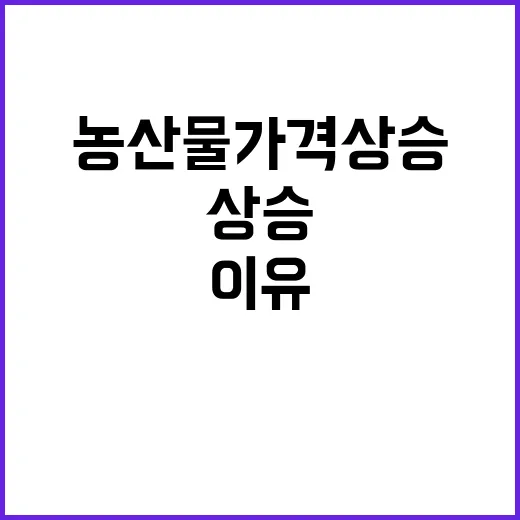 폭염, 농산물 가격…