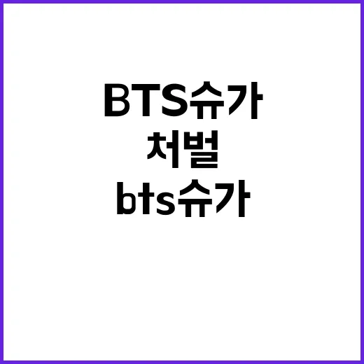 BTS 슈가, 처벌…