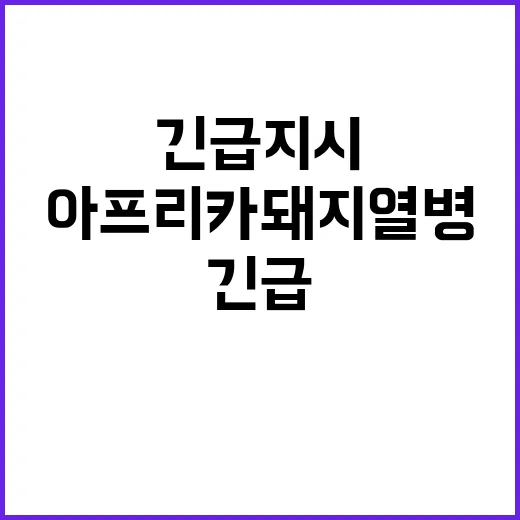 아프리카돼지열병 중대 방역조치 긴급 지시 발표!