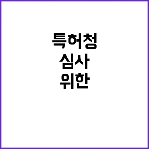 특허청 공정 심사 …