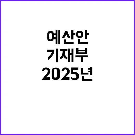 2025년 예산안 결정되지 않은 기재부의 진실!