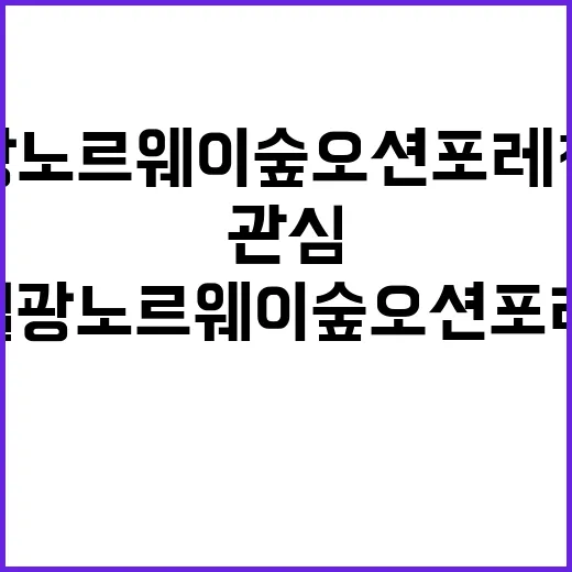 일광 노르웨이숲 오…