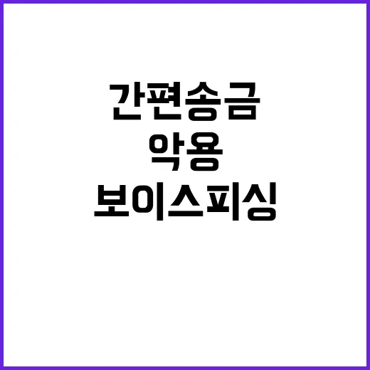 보이스피싱 간편송금 악용 사례 신속 대응 방안 공개!