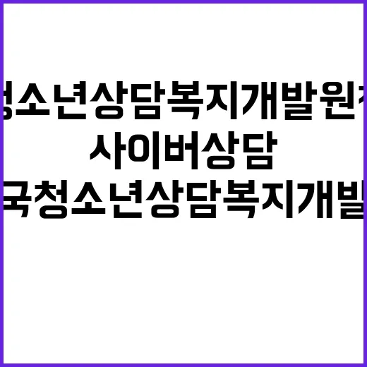 한국청소년상담복지개…