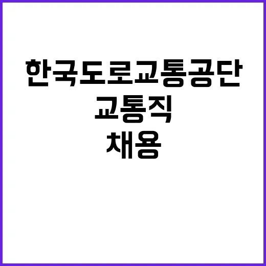 한국도로교통공단 안…