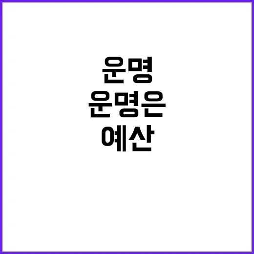 “예산 규모 자영업…