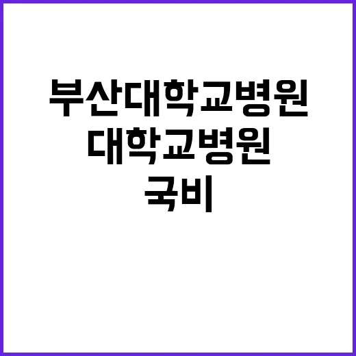 	국비계약직(간호직) 공개채용 모집 공고