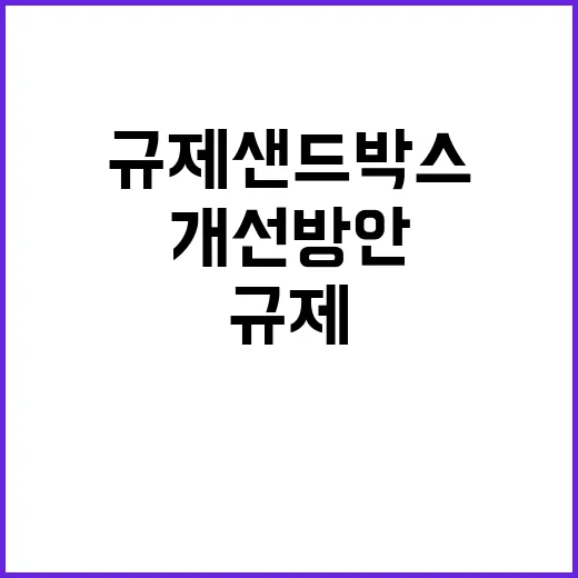 규제샌드박스 개선방…