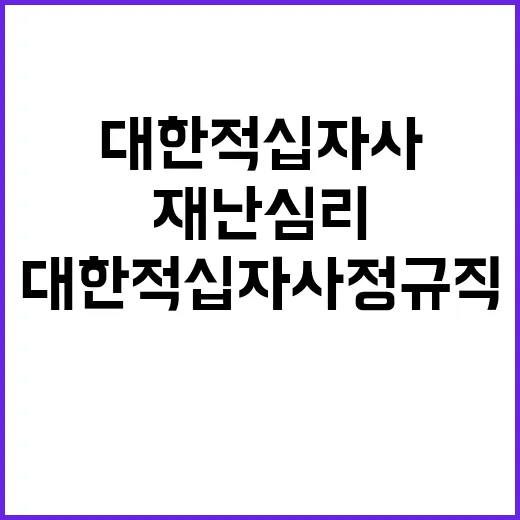 대한적십자사 정규직…