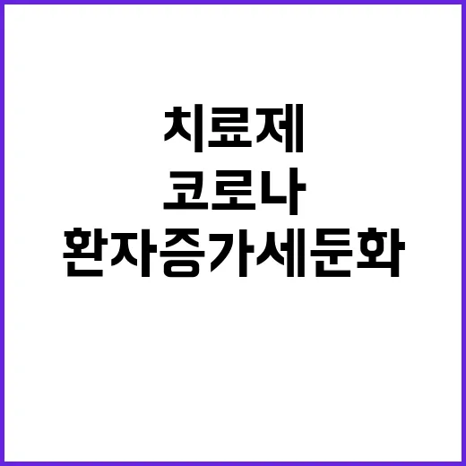 치료제 공급 코로나…