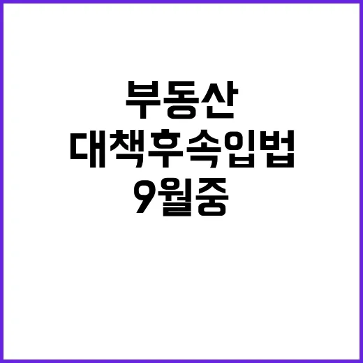 부동산 대책 후속입법 9월 중 발의 예고!