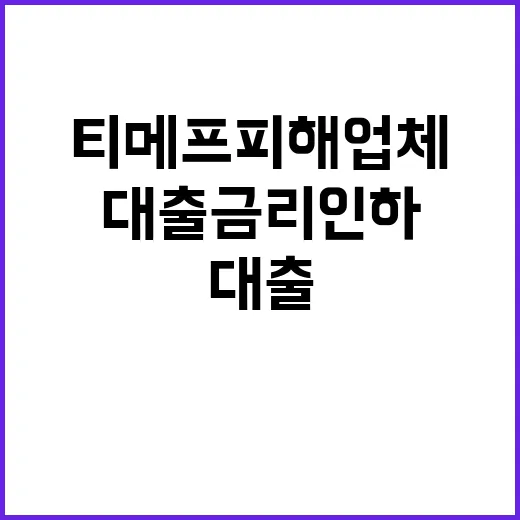 금융위 티메프 피해업체 대출금리인하 불가 확인!