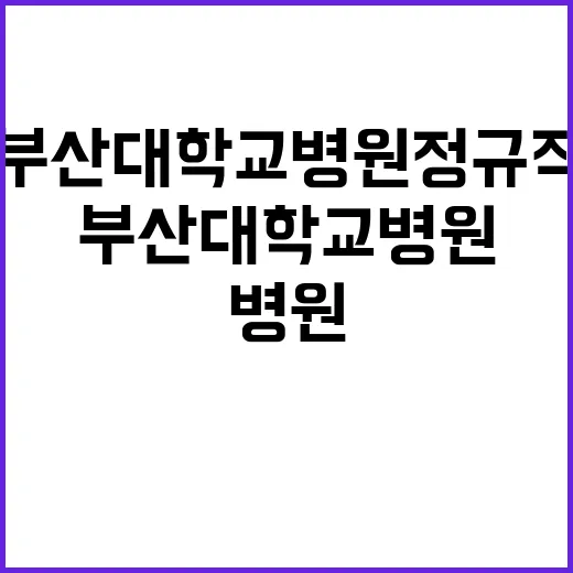 부산대학교병원 정규…