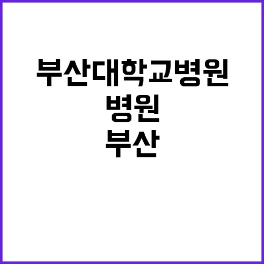 부산대학교병원 비정…