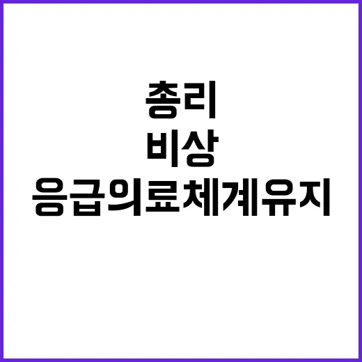 보건의료노조 총리의 비상 응급의료체계 유지!