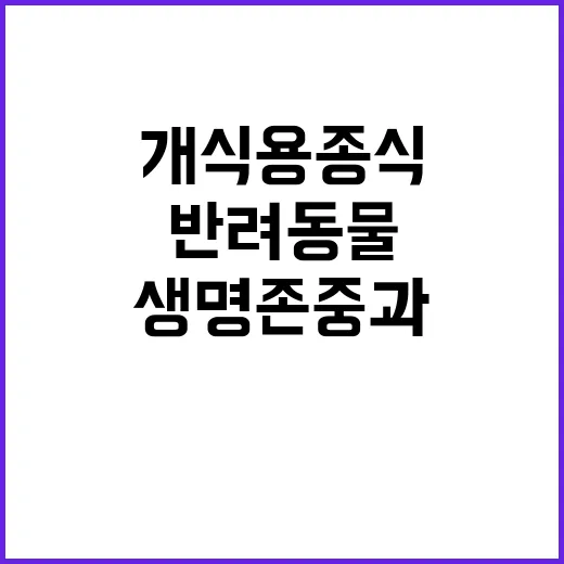 개식용종식 생명 존중과 반려동물 가족 사랑