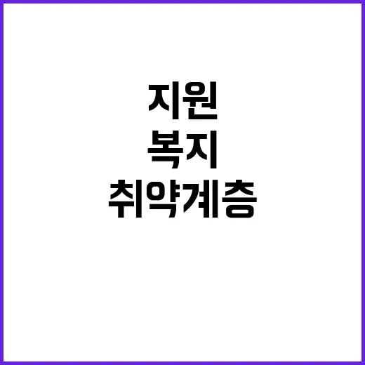 약자복지 예산 사회적 취약계층 지원의 새로운 전환!