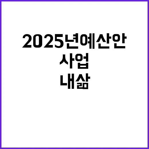 2025년 예산안 내 삶 바꾸는 8가지 사업 공개!