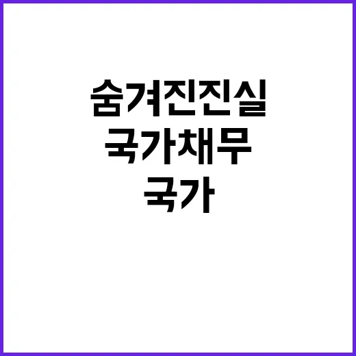 국가채무 안정적 관리의 숨겨진 진실 공개!