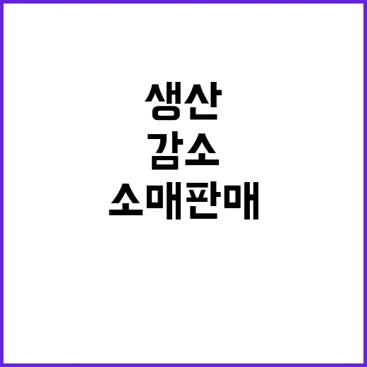 생산 감소와 소매판매 감소 설비투자 급증!