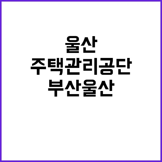 채용형 인턴 채용공고(주택관리공단 부산울산지사)