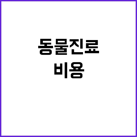 초음파·CT 비용 …