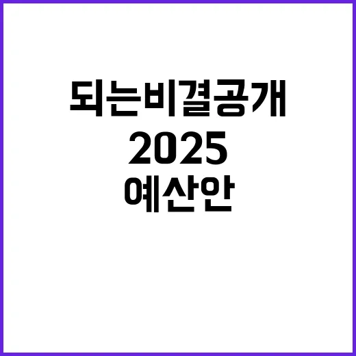 2025 예산안 살림살이에 도움 되는 비결 공개!