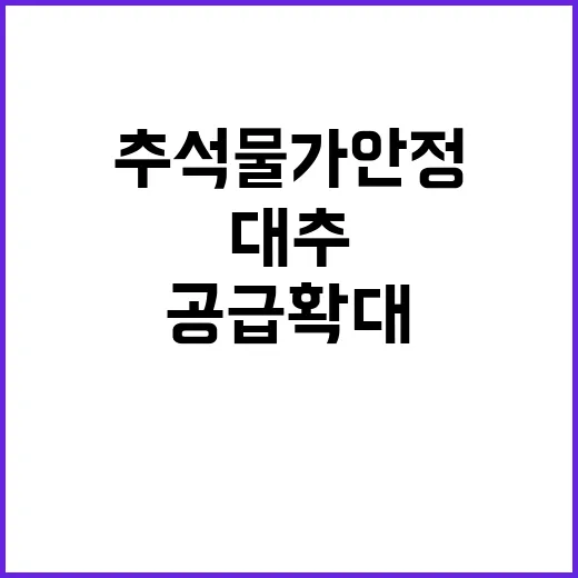 “추석 물가 안정” 대추 294톤 공급 확대의 비밀!