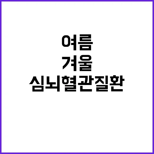 심뇌혈관질환 여름 …