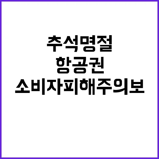 항공권 소비자 피해…