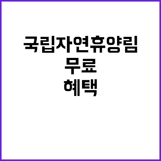 국립자연휴양림 ‘무…