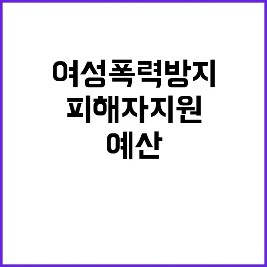 여성폭력방지 예산 피해자 지원 강화 사실 증명!