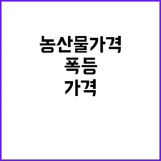 농산물 가격 추석 …