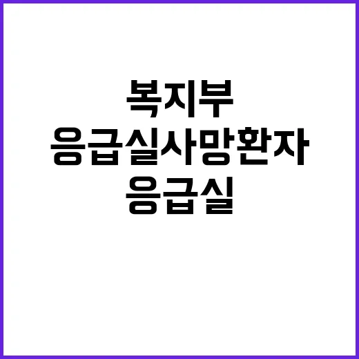 “응급실 사망환자 …