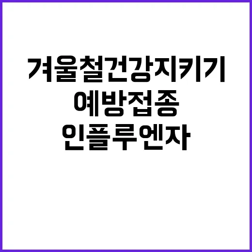 인플루엔자 예방접종 시작 겨울철 건강 지키기!