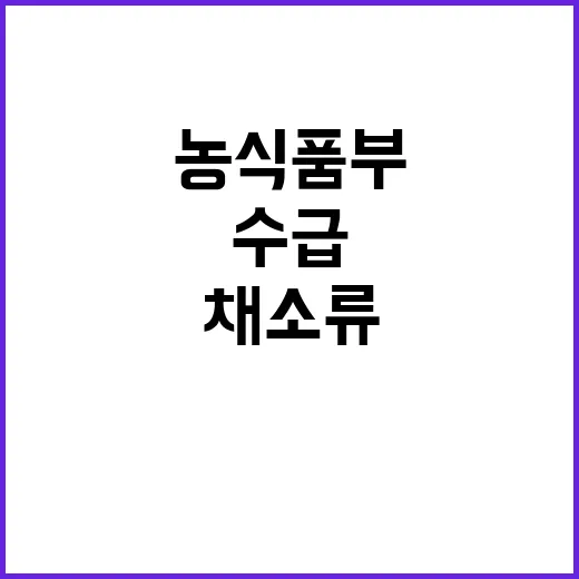 채소류 증가 수급상…