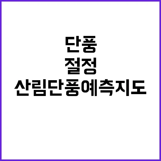 산림단풍 예측지도 올해 10월 말 절정!